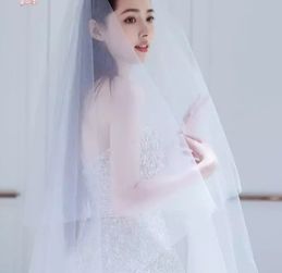 向佐为什么急着娶郭碧婷