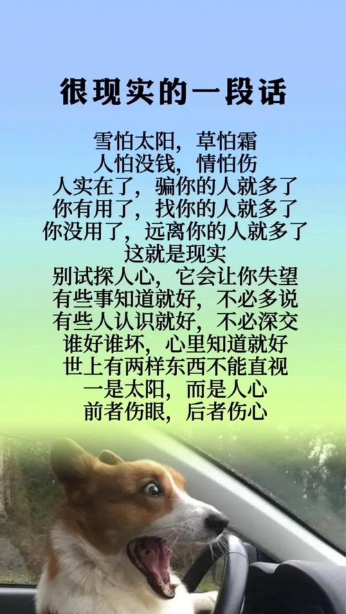 没钱很现实的一段话