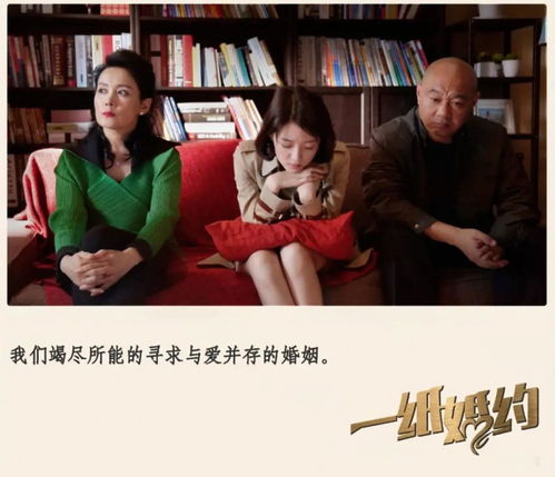 我的幸福婚约在线看