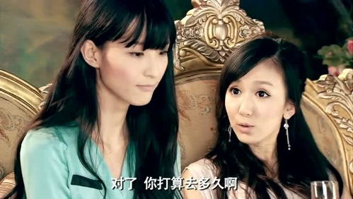 爱情公寓3无删减版在线观看