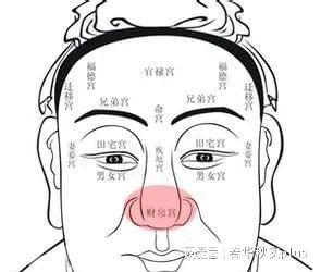 有富贵命的女人面相
