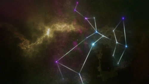 白羊座的四个孽缘星座