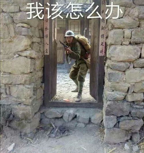女人梦见茅厕墙塌了 女人梦见茅房墙塌了