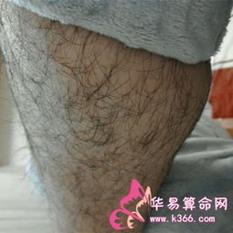女人梦见自己身上长毛好不好 女人梦到突然长了很长的腿毛