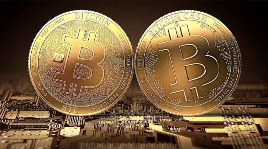 马斯克doge是什么意思？资深分析师揭秘马斯克与狗狗币的那些事