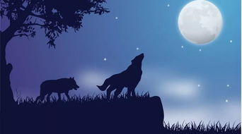 狼在爱情里代表什么