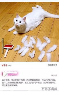遗憾的爱情故事短篇