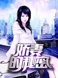 妻子的秘密完整版小说