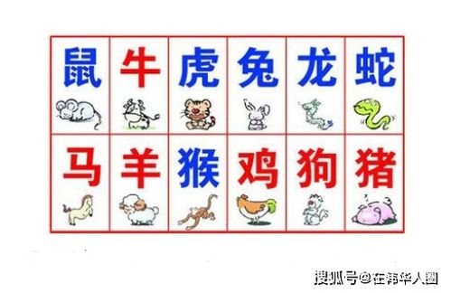 婚姻生肖配对