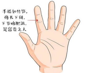 女人3大好命手相