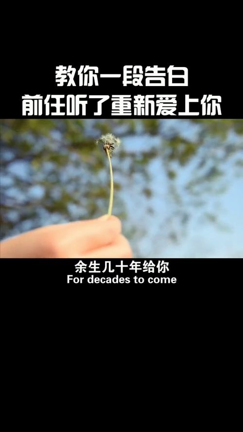 白羊男会重新爱上前任吗