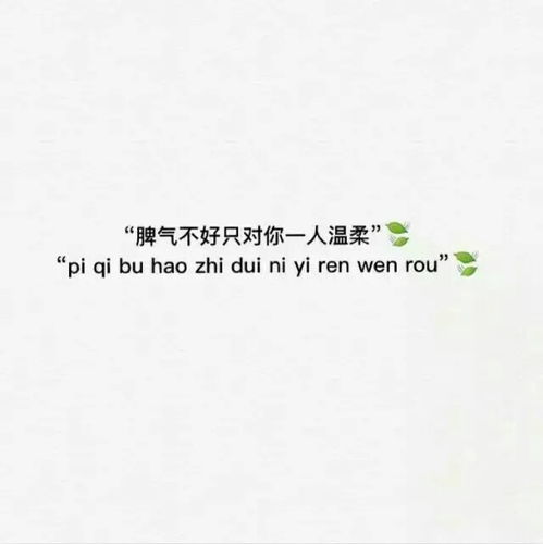 不图钱不图物质的女人的句子