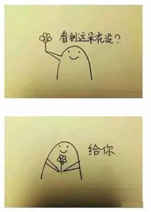 如何委婉的表白