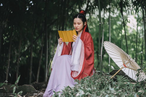 女人不争就是最大的争