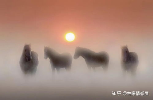 男人一旦要离婚心特别狠 男人最狠的离婚策略