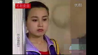 电视剧女人不是月亮全集 都市女人剧情分集介绍