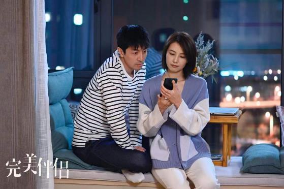 电视连续剧完美伴侣 完美伴侣电视剧演员表