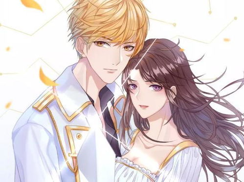 男主是高干插足女主婚姻的小说 男主是高官觊觎女主