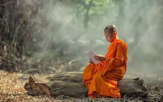 男人亏待妻子的下场 佛说男人欺负妻子的报应