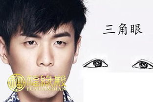 男人三角眼是不是克妻的 三角眼男人对老婆好吗