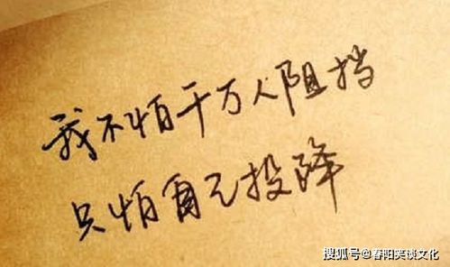 男人十大金句 男人霸气格言