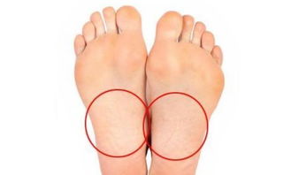 男人个子高脚小的命相 男人小脚是富贵命