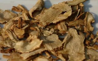 男人三宝是哪三件器官 男人滋补壮阳三宝是什么