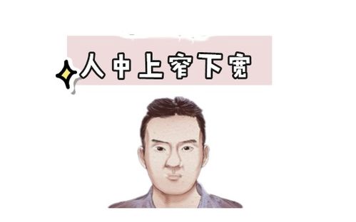 男人人中上窄下宽呈扇形 人中扇形的女人示意图