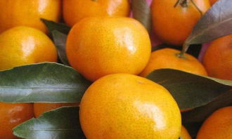 男人主动买水果给女人 男人给你买吃的说明什么