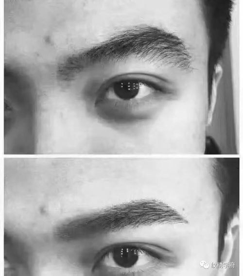 男人哪种眉毛最好 男士眉毛大全