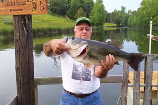 男人发鱼表达了什么情感 男人发鱼水的图片是啥意思