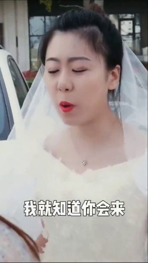 男人和女人之间的感情 女人和女人之间有真正的友谊吗