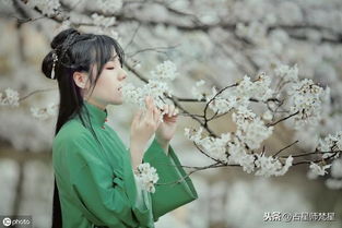 男人喜欢林黛玉的原因 男人都爱林黛玉型的