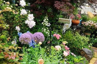 男人喜欢花花草草说明什么 男人养花好代表什么