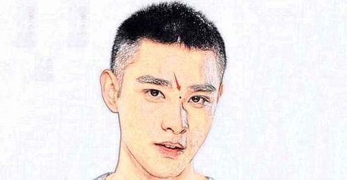男人山根有痣是福相 刘诗诗的山根痣是善痣吗