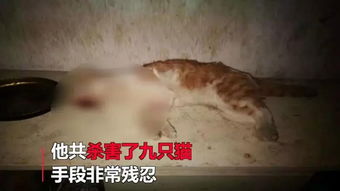 男人心理扭曲是什么表现 心理不正常的男人表现