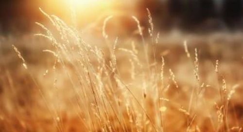 男人怎么看很势利的女人 现实势利的女人什么性格