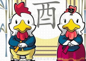男人当家打一正确数字 男大当家最准确的生肖是