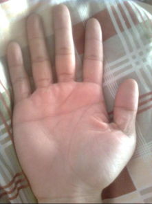 男人手纤细命好不好 男人三种手型最好命