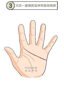 男人手相看婚姻 男人三种手型最好命