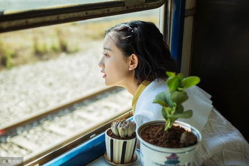 男人找的老婆都像母亲吗 男人找老婆其实就是找妈妈