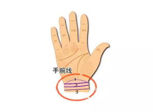 男人手腕细是穷命 男人手腕细有福气吗