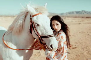 男人梦见马是好还是坏 男人梦到大马