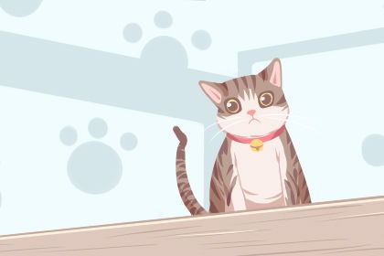 男人梦见猫是什么意思 中年女人梦见猫是什么预兆