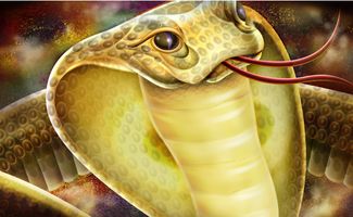 男人梦见蛇缠身被吓醒 已婚男人梦见蛇缠身是好是坏