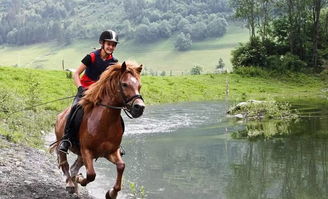 男人梦见骑马奔跑 梦见自己骑一匹高大的马