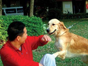 男人梦见狗咬左手出血好不好 梦见狗把左手咬出血了