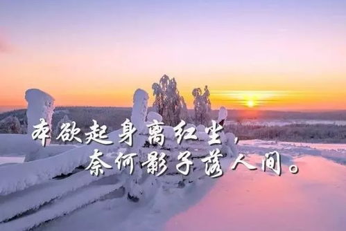 男人生活感悟经典句子短句 男人的感悟经典句子