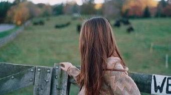 男人真心悔改的网名 向老婆认错的网名