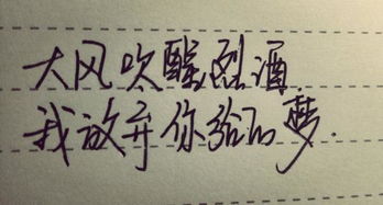 男人的责任的感悟的句子 八个字责任短句